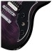 Gibson Victory Figured Top, Dark Purple Burst - knobs 
