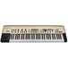 Korg KingKORG Synthesizer