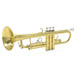 Deluxe trumpet 2