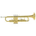 deltrumpet