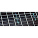 Schecter Hellraiser C8, Black