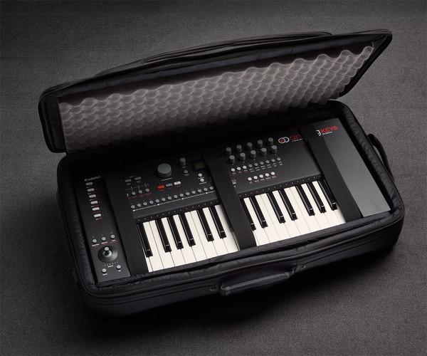 Elektron gig bag sale