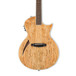 ESP LTD TL-6 SM Electro Acoustic Guitar, Natural