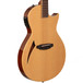 ESP LTD TL-6 Electro-Acoustic Guitar, Natural 