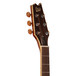 ESP LTD TL-6 Electro-Acoustic Guitar, Natural 