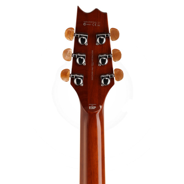ESP LTD TL-6 Electro-Acoustic Guitar, Natural 