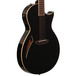 ESP LTD TL-6 Electro Acoustic Guitar, Black