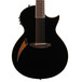 ESP LTD TL-12 12-String Electro-Acoustic Guitar, Black