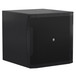 Mackie IP-18S Installation PA Subwoofer