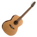 Seagull Coastline S6 Folk Cedar QI Electro Acoustic Guitar