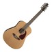 Seagull Coastline S12 Cedar 12 String Acoustic Guitar