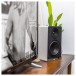 ELAC Debut ConneX DCB61 Active Speakers (Pair), White - Lifestyle Image, living room setup angled, with TV