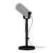 Rode DS2 Desktop Studio Arm - With Mic (Mic Not Included)