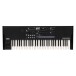 Korg Wavestate SE Synthesizer - Top