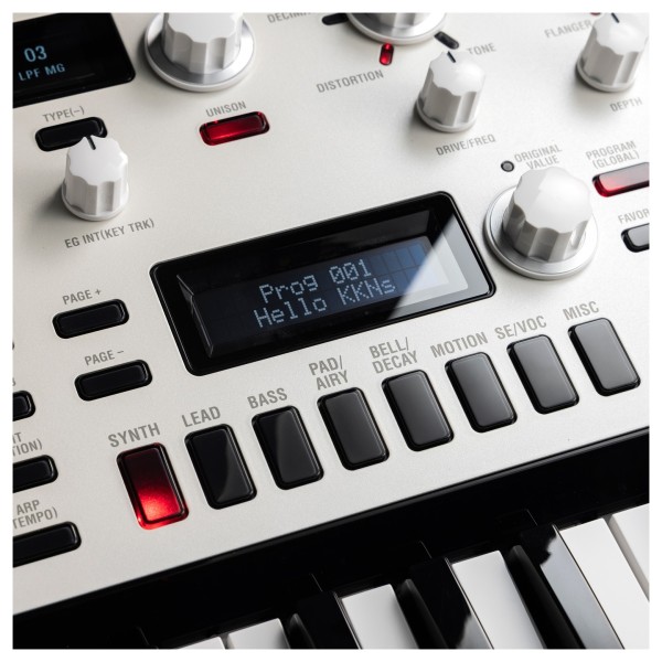Korg KingKorg Neo - Detail (Display)