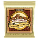 Ernie Ball Earthwood 2005 Acoustic Guitar Strings Set Light, 12.5 - 56