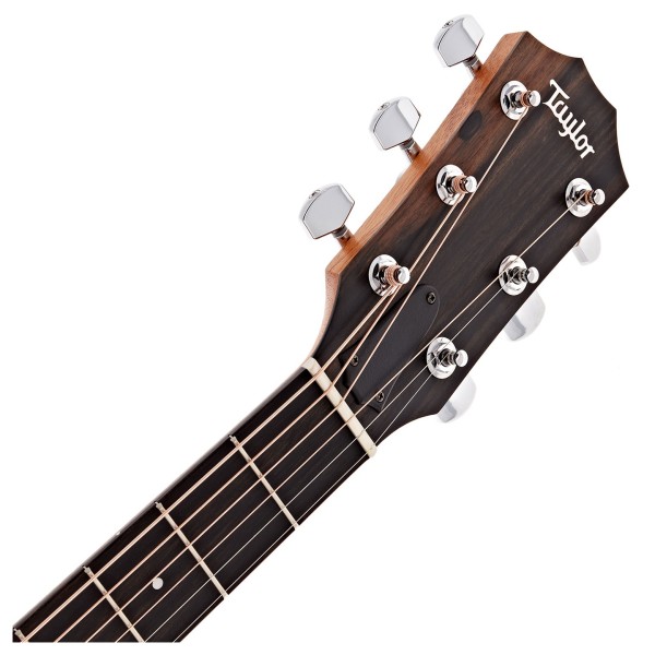 Taylor 214ce Electro Acoustic, Natural - headstock 