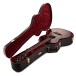 Taylor Builder's Edition 814ce Electro Acoustic, Sinker Redwood - case 