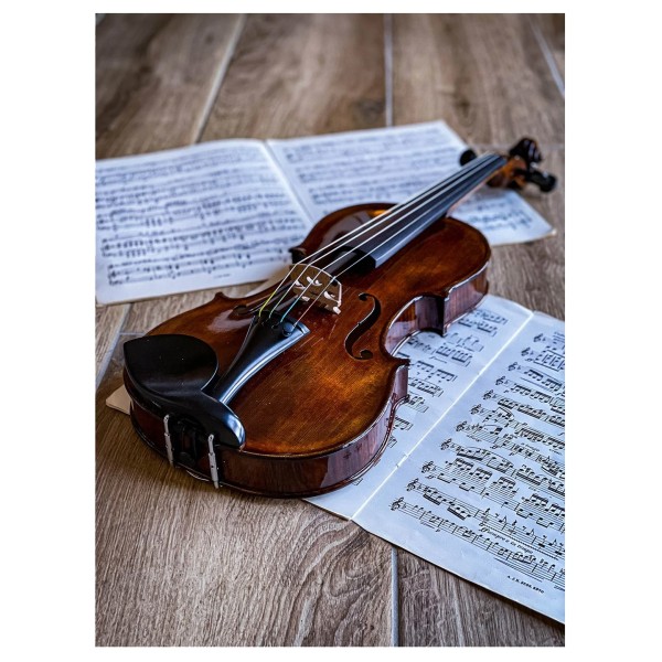 Conrad Goetz Bohemia-Heritage 108 Violin, Instrument Only - Lifestyle