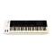 Nektar Panorama P6 Keyboard Controller - Secondhand