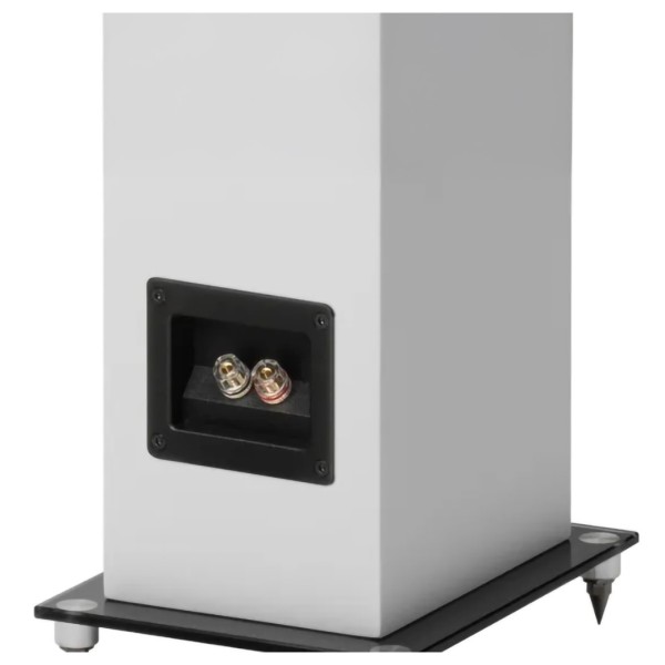 Pro-Ject Speaker Box 10 E Carbon Floorstanding Speakers (pair), - terminals 