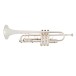 B&S Challenger II Professional Trumpet, 37