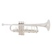 B&S Challenger II Professional Trumpet, 37