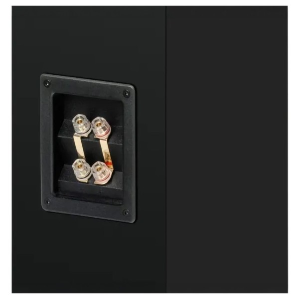 Pro-Ject Speaker Box 12 E Carbon Floorstanding Speakers (pair), Walnut - terminals 