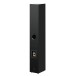 Pro-Ject Speaker Box 12 E Carbon Floorstanding Speakers (pair), Satin Black - rear 