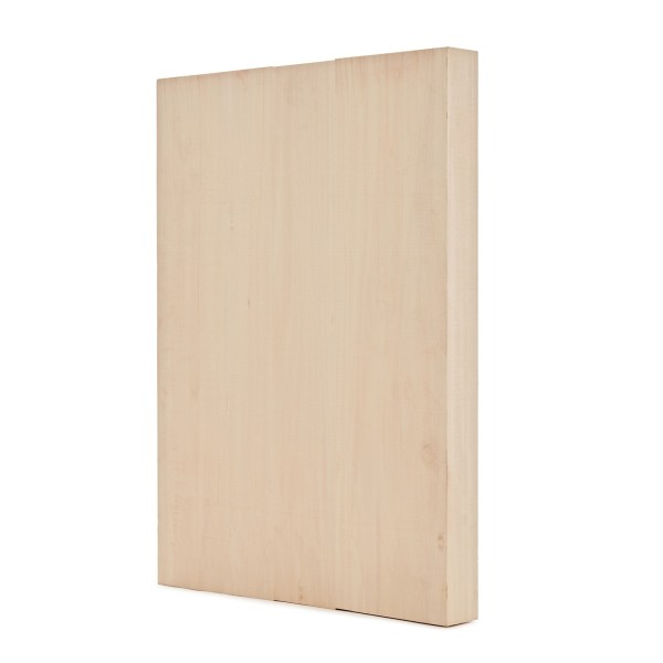 Electric Guitar Body Blank, Basswood