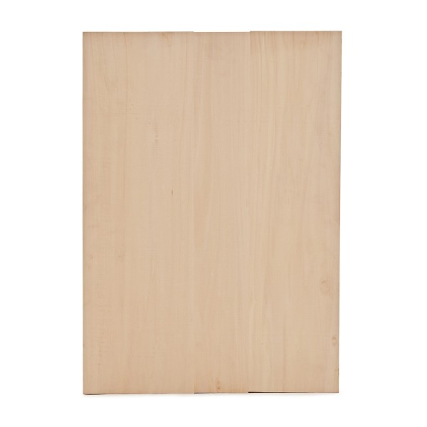 Electric Guitar Body Blank, Basswood