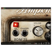 Bogren Digital Ampknob BDM '75