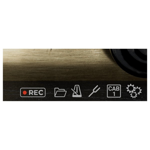 Bogren Digital Ampknob BDM 800 Badboy