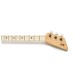 Loog Pro Acoustic, Green