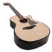 Taylor Builder’s Edition 314ce LTD Electro Acoustic, Natural (50th Anniversary) - body and neck 