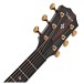 Taylor Builder’s Edition 314ce LTD Electro Acoustic, Natural (50th Anniversary) - headstock 