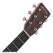 Martin DJrE StreetLegend, Burst - headstock 