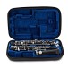 Rigoutat Delphine Oboe - Case