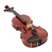 Primavera 100 Viola Outfit, 14 Inch, Gold Level Set Up