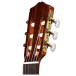 Cordoba C5 Crossover Limited Classical - headstock 