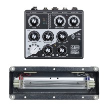 Benidub Spring Amp III with TAD Type-8 Spring Tank