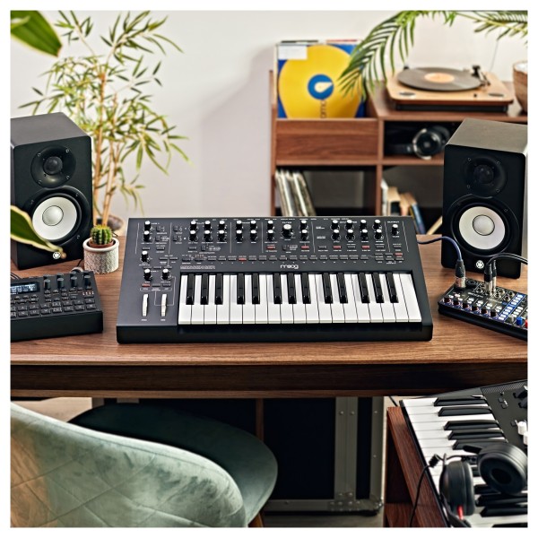 Moog Messenger Monophonic Analog Synthesizer - Lifestyle