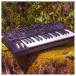 Moog Messenger Monophonic Analog Synthesizer - Lifestyle 2