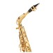 Leblanc LAS211 Alto Saxophone, Lacquer - Neck