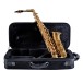 Leblanc LAS211 Alto Saxophone, Lacquer - Case and Saxophone