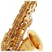 Leblanc LAS211 Alto Saxophone, Lacquer 