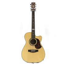 Maton, EBG808C TE 
