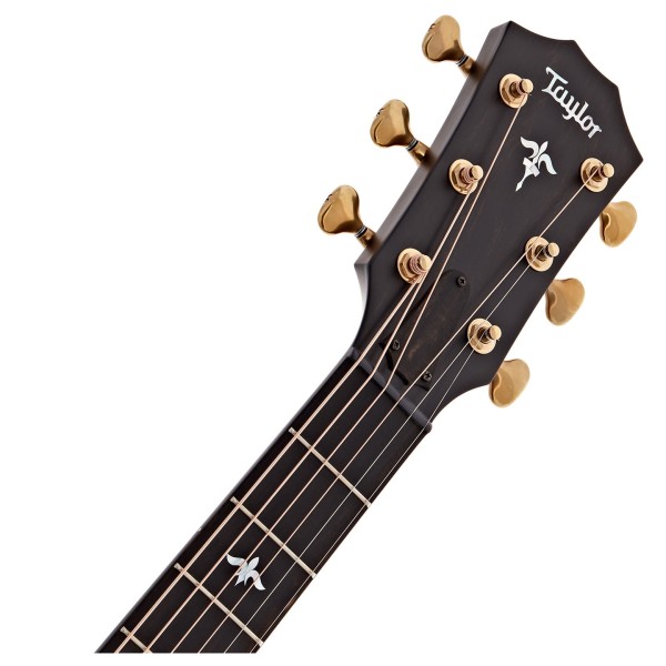 Taylor Builder's Edition 614ce Electro, Wild Honey Burst - headstock 