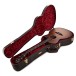 Taylor Builder's Edition 614ce Electro, Wild Honey Burst - case 