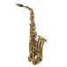 Leblanc LAS411 Alto Saxophone, Dark Lacquer - Main